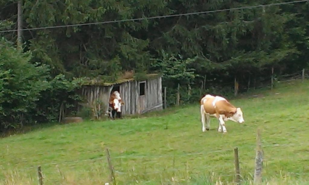 Martina Frey Ferienwohnungen Baiersbronn Exteriér fotografie