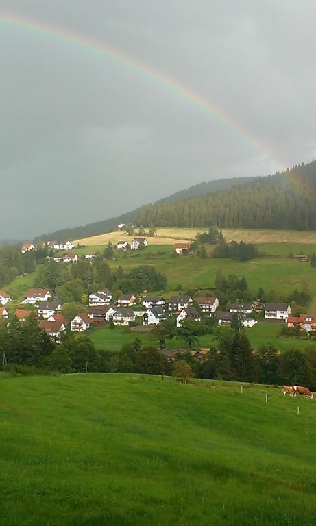 Martina Frey Ferienwohnungen Baiersbronn Exteriér fotografie
