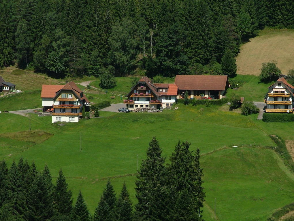 Martina Frey Ferienwohnungen Baiersbronn Exteriér fotografie