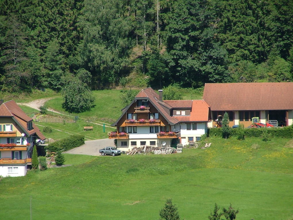 Martina Frey Ferienwohnungen Baiersbronn Exteriér fotografie