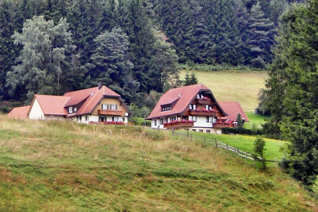Martina Frey Ferienwohnungen Baiersbronn Exteriér fotografie