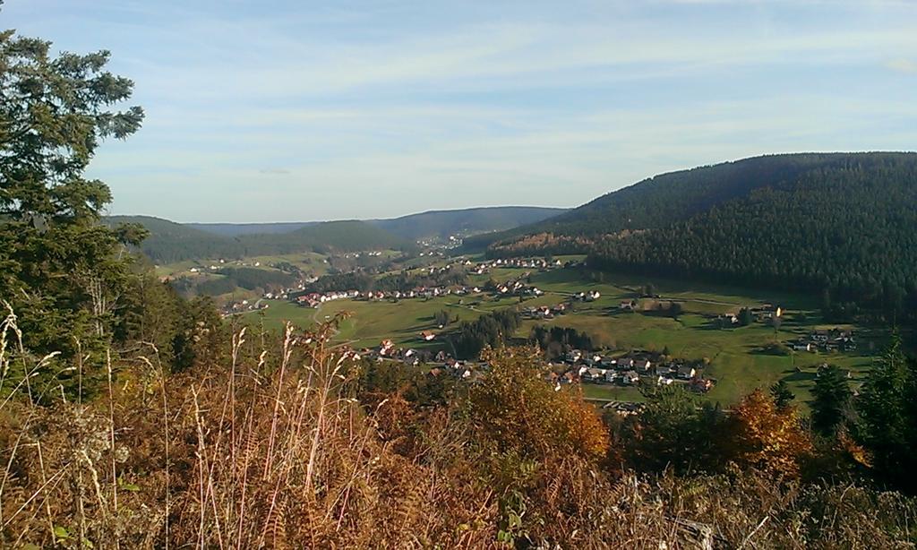 Martina Frey Ferienwohnungen Baiersbronn Exteriér fotografie